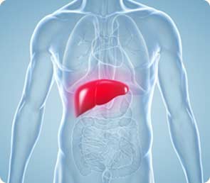 Liver Cancer